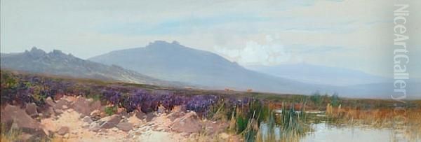 A View Of Dartmoor Tors From A Moorland Pond - view 1