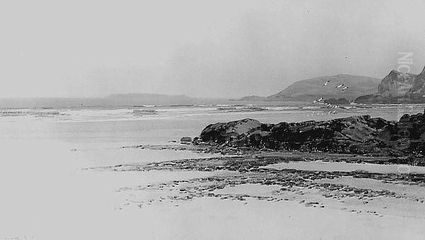 Near Bude - view 1