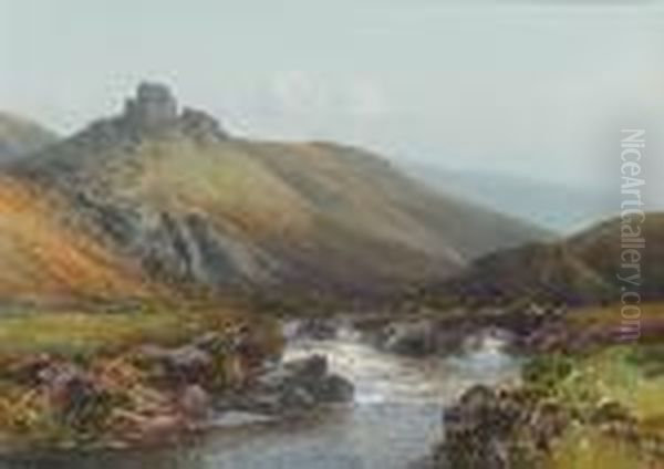 Badgworthy Waters, Exmoor - view 1