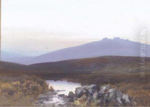 Taw Marsh, Belston Torr