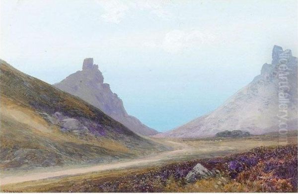 The Valley Of The Rocks, Lynton; Rolling Landscape With Heather - view 1