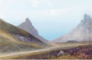The Valley Of The Rocks, Lynton; Rolling Landscape With Heather by Frederick John Widgery