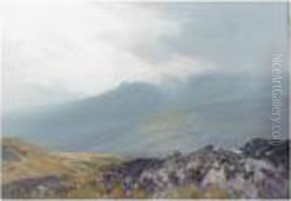 Near Tavy Cleave, Dartmoor - view 1