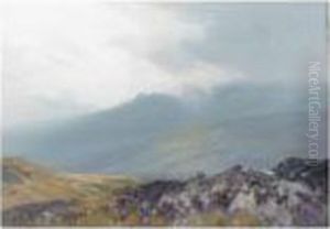 Near Tavy Cleave, Dartmoor by Frederick John Widgery
