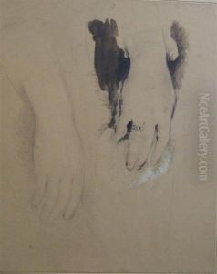 Study Of Hands