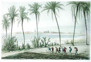 General View of Cadiz, engraved by John Pye 1782-1874 by J. Taylor