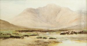 The Devils Mother From Lough Nafooey Strand Connemara