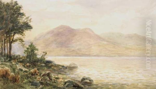 Shannon At Lough Derg - view 1