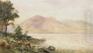 Shannon At Lough Derg