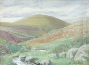 Irish Country Landscape