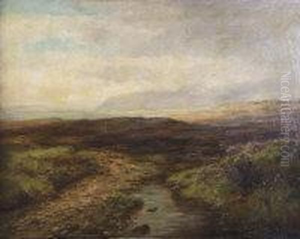 Extensive Landscape - view 1