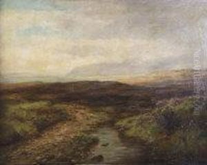Extensive Landscape