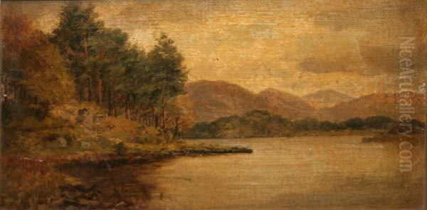 Muckross Lake, Killarney - view 1