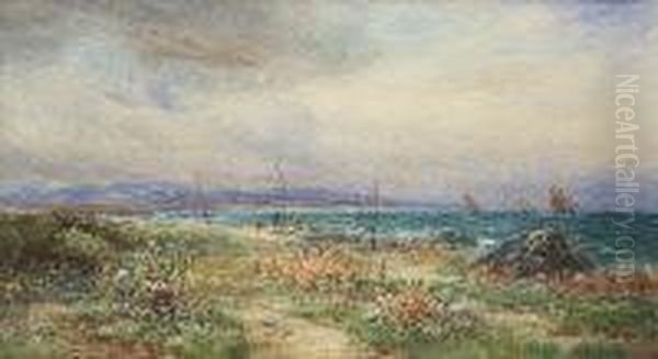 At Red Island, Skerries, Co. Dublin - view 1