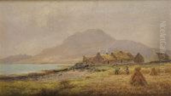 Harvesting Corn Near Achill - view 1