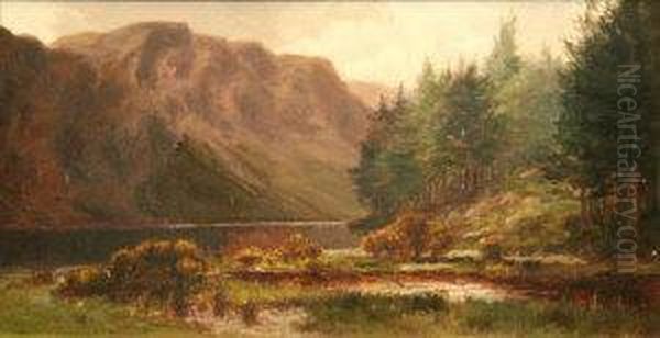 Lake At Killarney - view 1