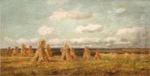 The Cornfield