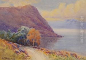 Mountain Lake Scenes