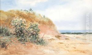 Summer by Alexander Williams