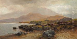 Coastal Landscape With Heather And Rocks