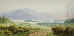 Approach To Killarney by Alexander Williams