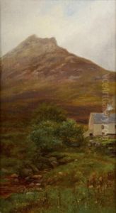 Donegal Mountain Farm