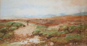 Road To A Bog, Achill Island