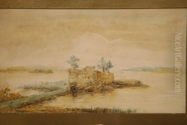 Macarlie Castle, Castlelough, Killarney - view 1