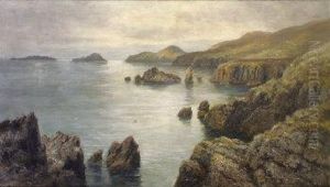 View Of The Blaskets From The Ring Of Kerry