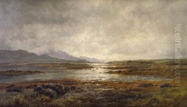 Extensive View At The Upper Lake. Killarney - view 1