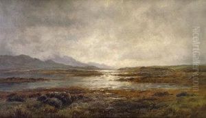 Extensive View At The Upper Lake. Killarney by Alexander Williams