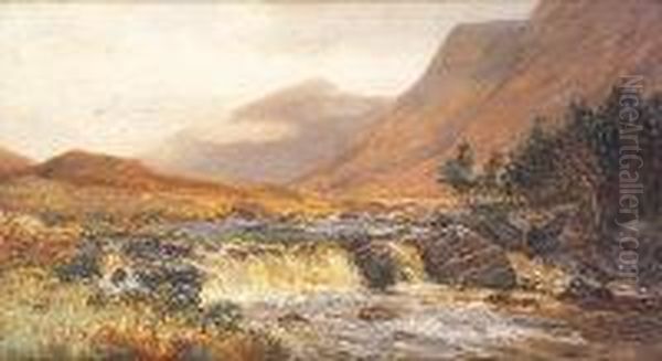 Asleagh Waterfall, Killary Bay, Connemara - view 1