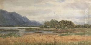 View From The Lake Hotel, Killarney