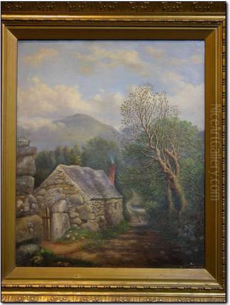 Snowdonia Landscape With Cottage - view 1