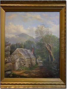 Snowdonia Landscape With Cottage