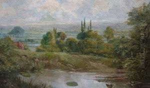 Pastoral Landscape With Ducks On A Pond