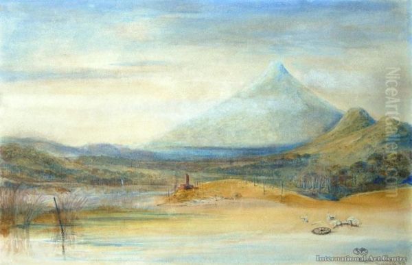 Buggins Clearing, Taranaki - view 1