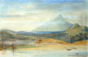 Buggins Clearing, Taranaki Buggins Clearing, Taranaki