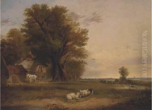 Sheep And Cattle In A Summer Landscape