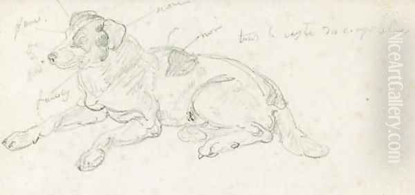 Etude d'un chien - view 1