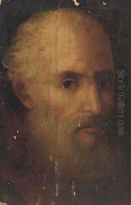 Head of a bearded man