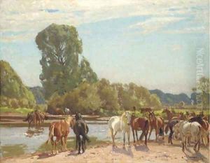 New Forest ponies at Tyrrell's Ford