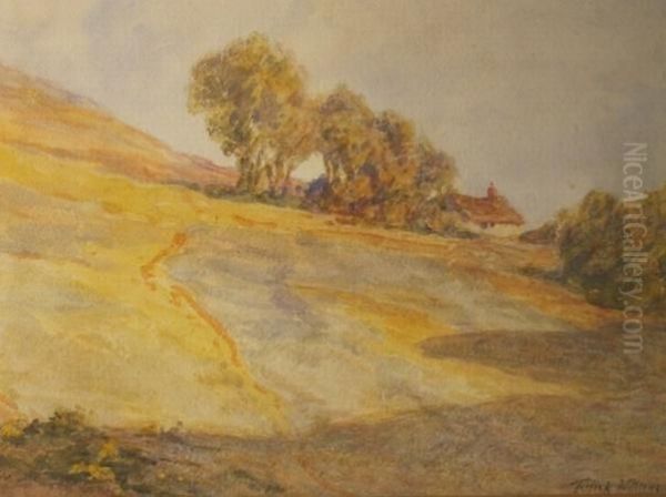Sunlight And Shadow - view 1