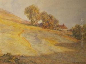 Sunlight And Shadow by Terrick John Williams