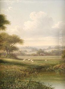 An Extensivelandscape With Sheep Grazing