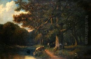 In The New Forest