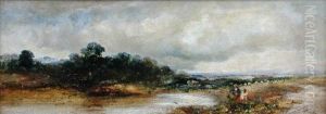 The Young Anglers