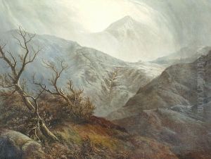 Snowdon Copper Mine