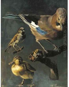 A jay, sparrow and duckling by Emmy Thorman