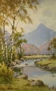 Snowdonia River Scene With Silver Birches